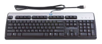 USB Standard Keyboard (DT528A#ABF)